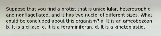 Suppose that you find a protist that is unicellular, heterotrophic, and nonflagellated, and it has two nuclei of different sizes. What could be concluded about this organism? a. It is an ameobozoan. b. It is a ciliate. c. It is a foraminiferan. d. It is a kinetoplastid.