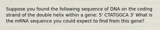 Suppose you found the following sequence of DNA on the coding strand of the double helix within a gene: 5' CTATGGCA 3' What is the mRNA sequence you could expect to find from this gene?