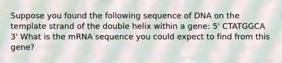 Suppose you found the following sequence of DNA on the template strand of the double helix within a gene: 5' CTATGGCA 3' What is the mRNA sequence you could expect to find from this gene?