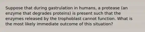 Suppose that during gastrulation in humans, a protease (an enzyme that degrades proteins) is present such that the enzymes released by the trophoblast cannot function. What is the most likely immediate outcome of this situation?