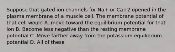 Suppose that gated ion channels for Na+ or Ca+2 opened in the plasma membrane of a muscle cell. The membrane potential of that cell would A. move toward the equilibrium potential for that ion B. Become less negative than the resting membrane potential C. Move farther away from the potassium equilibrium potential D. All of these