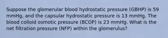 Suppose the glomerular blood hydrostatic pressure (GBHP) is 59 mmHg, and the capsular hydrostatic pressure is 13 mmHg. The blood colloid osmotic pressure (BCOP) is 23 mmHg. What is the net filtration pressure (NFP) within the glomerulus?