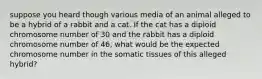 suppose you heard though various media of an animal alleged to be a hybrid of a rabbit and a cat. If the cat has a diploid chromosome number of 30 and the rabbit has a diploid chromosome number of 46, what would be the expected chromosome number in the somatic tissues of this alleged hybrid?