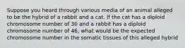 Suppose you heard through various media of an animal alleged to be the hybrid of a rabbit and a cat. If the cat has a diploid chromosome number of 30 and a rabbit has a diploid chromosome number of 46, what would be the expected chromosome number in the somatic tissues of this alleged hybrid