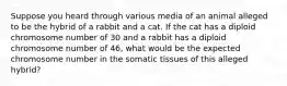 Suppose you heard through various media of an animal alleged to be the hybrid of a rabbit and a cat. If the cat has a diploid chromosome number of 30 and a rabbit has a diploid chromosome number of 46, what would be the expected chromosome number in the somatic tissues of this alleged hybrid?