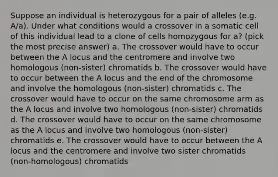 Suppose an individual is heterozygous for a pair of alleles (e.g. A/a). Under what conditions would a crossover in a somatic cell of this individual lead to a clone of cells homozygous for a? (pick the most precise answer) a. The crossover would have to occur between the A locus and the centromere and involve two homologous (non-sister) chromatids b. The crossover would have to occur between the A locus and the end of the chromosome and involve the homologous (non-sister) chromatids c. The crossover would have to occur on the same chromosome arm as the A locus and involve two homologous (non-sister) chromatids d. The crossover would have to occur on the same chromosome as the A locus and involve two homologous (non-sister) chromatids e. The crossover would have to occur between the A locus and the centromere and involve two sister chromatids (non-homologous) chromatids