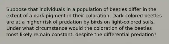 Suppose that individuals in a population of beetles differ in the extent of a dark pigment in their coloration. Dark-colored beetles are at a higher risk of predation by birds on light-colored soils. Under what circumstance would the coloration of the beetles most likely remain constant, despite the differential predation?