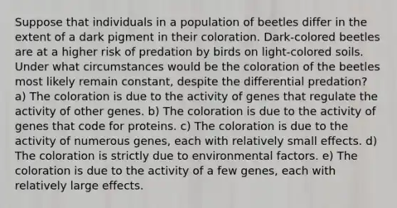 Suppose that individuals in a population of beetles differ in the extent of a dark pigment in their coloration. Dark-colored beetles are at a higher risk of predation by birds on light-colored soils. Under what circumstances would be the coloration of the beetles most likely remain constant, despite the differential predation? a) The coloration is due to the activity of genes that regulate the activity of other genes. b) The coloration is due to the activity of genes that code for proteins. c) The coloration is due to the activity of numerous genes, each with relatively small effects. d) The coloration is strictly due to environmental factors. e) The coloration is due to the activity of a few genes, each with relatively large effects.