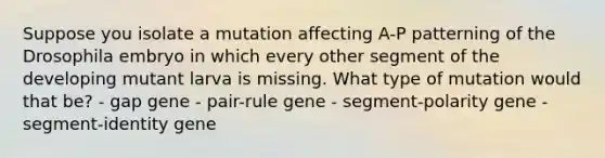 Suppose you isolate a mutation affecting A-P patterning of the Drosophila embryo in which every other segment of the developing mutant larva is missing. What type of mutation would that be? - gap gene - pair-rule gene - segment-polarity gene - segment-identity gene