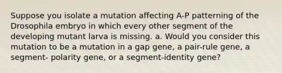 Suppose you isolate a mutation affecting A-P patterning of the Drosophila embryo in which every other segment of the developing mutant larva is missing. a. Would you consider this mutation to be a mutation in a gap gene, a pair-rule gene, a segment- polarity gene, or a segment-identity gene?