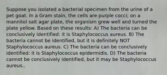 Suppose you isolated a bacterial specimen from the urine of a pet goat. In a Gram stain, the cells are purple cocci; on a mannitol salt agar plate, the organism grew well and turned the plate yellow. Based on these results: A) The bacteria can be conclusively identified: it is Staphylococcus aureus. B) The bacteria cannot be identified, but it is definitely NOT Staphylococcus aureus. C) The bacteria can be conclusively identified: it is Staphylococcus epidermidis. D) The bacteria cannot be conclusively identified, but it may be Staphylococcus aureus..