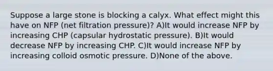 Suppose a large stone is blocking a calyx. What effect might this have on NFP (net filtration pressure)? A)It would increase NFP by increasing CHP (capsular hydrostatic pressure). B)It would decrease NFP by increasing CHP. C)It would increase NFP by increasing colloid osmotic pressure. D)None of the above.