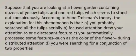 Suppose that you are looking at a flower garden containing dozens of yellow tulips and one red tulip, which seems to stand out conspicuously. According to Anne Treisman's theory, the explanation for this phenomenon is that: a) you probably searched all the tulips serially b) focused attention drew your attention to one discrepant feature c) you automatically processed some features--such as the color of the flower-- during distributed attention d) you were searching for a conjunction of two properties