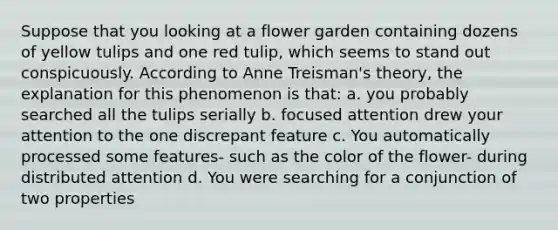 Suppose that you looking at a flower garden containing dozens of yellow tulips and one red tulip, which seems to stand out conspicuously. According to Anne Treisman's theory, the explanation for this phenomenon is that: a. you probably searched all the tulips serially b. focused attention drew your attention to the one discrepant feature c. You automatically processed some features- such as the color of the flower- during distributed attention d. You were searching for a conjunction of two properties