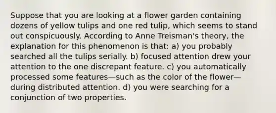 Suppose that you are looking at a flower garden containing dozens of yellow tulips and one red tulip, which seems to stand out conspicuously. According to Anne Treisman's theory, the explanation for this phenomenon is that: a) you probably searched all the tulips serially. b) focused attention drew your attention to the one discrepant feature. c) you automatically processed some features—such as the color of the flower—during distributed attention. d) you were searching for a conjunction of two properties.