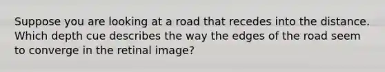 Suppose you are looking at a road that recedes into the distance. Which depth cue describes the way the edges of the road seem to converge in the retinal image?