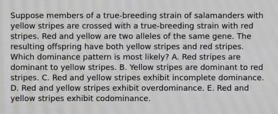 Suppose members of a true-breeding strain of salamanders with yellow stripes are crossed with a true-breeding strain with red stripes. Red and yellow are two alleles of the same gene. The resulting offspring have both yellow stripes and red stripes. Which dominance pattern is most likely? A. Red stripes are dominant to yellow stripes. B. Yellow stripes are dominant to red stripes. C. Red and yellow stripes exhibit incomplete dominance. D. Red and yellow stripes exhibit overdominance. E. Red and yellow stripes exhibit codominance.