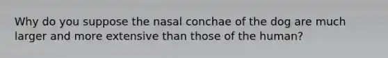 Why do you suppose the nasal conchae of the dog are much larger and more extensive than those of the human?