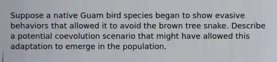 Suppose a native Guam bird species began to show evasive behaviors that allowed it to avoid the brown tree snake. Describe a potential coevolution scenario that might have allowed this adaptation to emerge in the population.