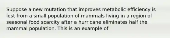 Suppose a new mutation that improves metabolic efficiency is lost from a small population of mammals living in a region of seasonal food scarcity after a hurricane eliminates half the mammal population. This is an example of