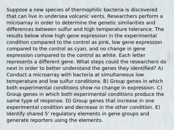 Suppose a new species of thermophilic bacteria is discovered that can live in undersea volcanic vents. Researchers perform a microarray in order to determine the genetic similarities and differences between sulfur and high temperature tolerance. The results below show high <a href='https://www.questionai.com/knowledge/kFtiqWOIJT-gene-expression' class='anchor-knowledge'>gene expression</a> in the experimental condition compared to the control as pink, low gene expression compared to the control as cyan, and no change in gene expression compared to the control as white. Each letter represents a different gene. What steps could the researchers do next in order to better understand the genes they identified? A) Conduct a microarray with bacteria at simultaneous low temperature and low sulfur conditions. B) Group genes in which both experimental conditions show no change in expression. C) Group genes in which both experimental conditions produce the same type of response. D) Group genes that increase in one experimental condition and decrease in the other condition. E) Identify shared 5' regulatory elements in gene groups and generate reporters using the elements.