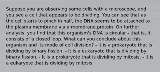 Suppose you are observing some cells with a microscope, and you see a cell that appears to be dividing. You can see that as the cell starts to pinch in half, the DNA seems to be attached to the plasma membrane via a membrane protein. On further analysis, you find that this organism's DNA is circular - that is, it consists of a closed loop. What can you conclude about this organism and its mode of cell division? - It is a prokaryote that is dividing by binary fission. - It is a eukaryote that is dividing by binary fission. - It is a prokaryote that is dividing by mitosis. - It is a eukaryote that is dividing by mitosis.