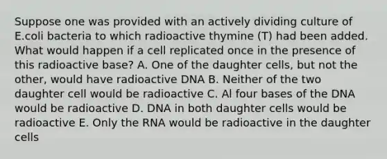 Suppose one was provided with an actively dividing culture of E.coli bacteria to which radioactive thymine (T) had been added. What would happen if a cell replicated once in the presence of this radioactive base? A. One of the daughter cells, but not the other, would have radioactive DNA B. Neither of the two daughter cell would be radioactive C. Al four bases of the DNA would be radioactive D. DNA in both daughter cells would be radioactive E. Only the RNA would be radioactive in the daughter cells