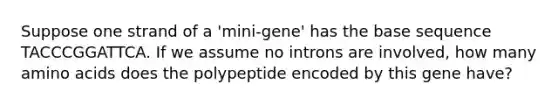 Suppose one strand of a 'mini-gene' has the base sequence TACCCGGATTCA. If we assume no introns are involved, how many amino acids does the polypeptide encoded by this gene have?