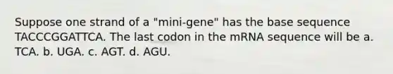 Suppose one strand of a "mini-gene" has the base sequence TACCCGGATTCA. The last codon in the mRNA sequence will be a. TCA. b. UGA. c. AGT. d. AGU.