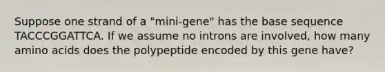 Suppose one strand of a "mini-gene" has the base sequence TACCCGGATTCA. If we assume no introns are involved, how many amino acids does the polypeptide encoded by this gene have?