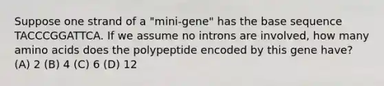 Suppose one strand of a "mini-gene" has the base sequence TACCCGGATTCA. If we assume no introns are involved, how many amino acids does the polypeptide encoded by this gene have? (A) 2 (B) 4 (C) 6 (D) 12