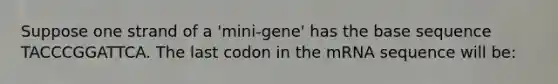 Suppose one strand of a 'mini-gene' has the base sequence TACCCGGATTCA. The last codon in the mRNA sequence will be: