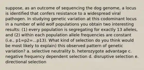 suppose, as an outcome of sequencing the dog genome, a locus is identified that confers resistance to a widespread viral pathogen. In studying genetic variation at this codominant locus in a number of wild wolf populations you obtain two interesting results: (1) every population is segregating for exactly 13 alleles, and (2) within each population allele frequencies are constant (i.e., p1=p2=...p13). What kind of selection do you think would be most likely to explain) this observed pattern of genetic variation? a. selective neutrality b. heterozygote advantage c. negative frequency dependent selection d. disruptive selection e. directional selection