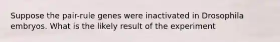 Suppose the pair-rule genes were inactivated in Drosophila embryos. What is the likely result of the experiment