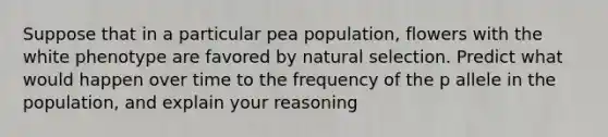 Suppose that in a particular pea population, flowers with the white phenotype are favored by natural selection. Predict what would happen over time to the frequency of the p allele in the population, and explain your reasoning