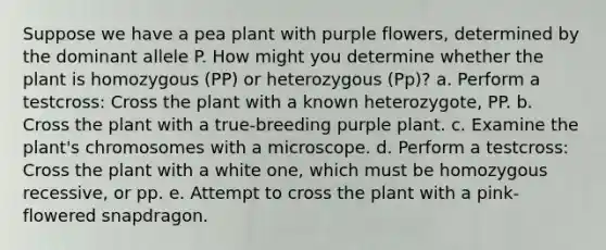 Suppose we have a pea plant with purple flowers, determined by the dominant allele P. How might you determine whether the plant is homozygous (PP) or heterozygous (Pp)? a. Perform a testcross: Cross the plant with a known heterozygote, PP. b. Cross the plant with a true-breeding purple plant. c. Examine the plant's chromosomes with a microscope. d. Perform a testcross: Cross the plant with a white one, which must be homozygous recessive, or pp. e. Attempt to cross the plant with a pink-flowered snapdragon.