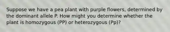 Suppose we have a pea plant with purple flowers, determined by the dominant allele P. How might you determine whether the plant is homozygous (PP) or heterozygous (Pp)?