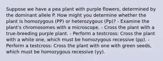 Suppose we have a pea plant with purple flowers, determined by the dominant allele P. How might you determine whether the plant is homozygous (PP) or heterozygous (Pp)? - Examine the plant's chromosomes with a microscope. - Cross the plant with a true-breeding purple plant. - Perform a testcross: Cross the plant with a white one, which must be homozygous recessive (pp). - Perform a testcross: Cross the plant with one with green seeds, which must be homozygous recessive (yy).