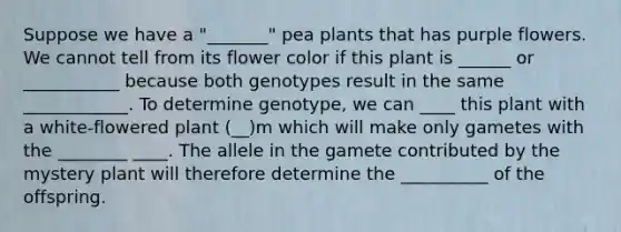 Suppose we have a "_______" pea plants that has purple flowers. We cannot tell from its flower color if this plant is ______ or ___________ because both genotypes result in the same ____________. To determine genotype, we can ____ this plant with a white-flowered plant (__)m which will make only gametes with the ________ ____. The allele in the gamete contributed by the mystery plant will therefore determine the __________ of the offspring.