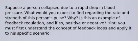 Suppose a person collapsed due to a rapid drop in blood pressure. What would you expect to find regarding the rate and strength of this person's pulse? Why? Is this an example of feedback regulation, and if so, positive or negative? Hint: you must first understand the concept of feedback loops and apply it to his specific scenario.