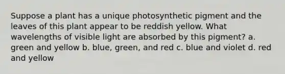 Suppose a plant has a unique photosynthetic pigment and the leaves of this plant appear to be reddish yellow. What wavelengths of visible light are absorbed by this pigment? a. green and yellow b. blue, green, and red c. blue and violet d. red and yellow