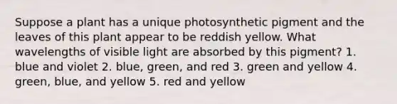 Suppose a plant has a unique photosynthetic pigment and the leaves of this plant appear to be reddish yellow. What wavelengths of visible light are absorbed by this pigment? 1. blue and violet 2. blue, green, and red 3. green and yellow 4. green, blue, and yellow 5. red and yellow