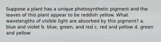 Suppose a plant has a unique photosynthetic pigment and the leaves of this plant appear to be reddish yellow. What wavelengths of visible light are absorbed by this pigment? a. blue and violet b. blue, green, and red c. red and yellow d. green and yellow