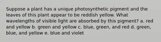 Suppose a plant has a unique photosynthetic pigment and the leaves of this plant appear to be reddish yellow. What wavelengths of visible light are absorbed by this pigment? a. red and yellow b. green and yellow c. blue, green, and red d. green, blue, and yellow e. blue and violet