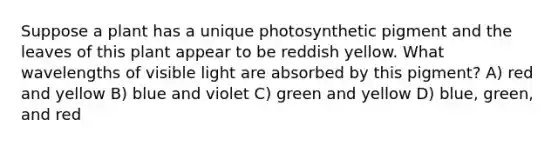 Suppose a plant has a unique photosynthetic pigment and the leaves of this plant appear to be reddish yellow. What wavelengths of visible light are absorbed by this pigment? A) red and yellow B) blue and violet C) green and yellow D) blue, green, and red