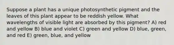 Suppose a plant has a unique photosynthetic pigment and the leaves of this plant appear to be reddish yellow. What wavelengths of visible light are absorbed by this pigment? A) red and yellow B) blue and violet C) green and yellow D) blue, green, and red E) green, blue, and yellow