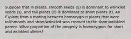 Suppose that in plants, smooth seeds (S) is dominant to wrinkled seeds (s), and tall plants (T) is dominant to short plants (t). An F1plant from a mating between homozygous plants that were tall/smooth and short/wrinkled was crossed to the short/wrinkled parent. What proportion of the progeny is homozygous for short and wrinkled alleles?