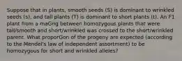 Suppose that in plants, smooth seeds (S) is dominant to wrinkled seeds (s), and tall plants (T) is dominant to short plants (t). An F1 plant from a maGng between homozygous plants that were tall/smooth and short/wrinkled was crossed to the short/wrinkled parent. What proporGon of the progeny are expected (according to the Mendel's law of independent assortment) to be homozygous for short and wrinkled alleles?