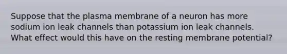 Suppose that the plasma membrane of a neuron has more sodium ion leak channels than potassium ion leak channels. What effect would this have on the resting membrane potential?