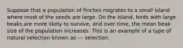 Suppose that a population of finches migrates to a small island where most of the seeds are large. On the island, birds with large beaks are more likely to survive, and over time, the mean beak size of the population increases. This is an example of a type of natural selection known as --- selection.